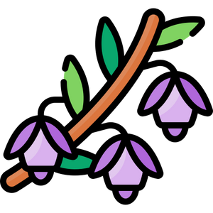 Hanga