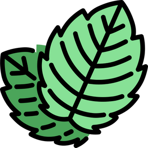 Málnalevél