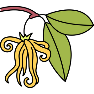 Ylang-Ylang illóolaj